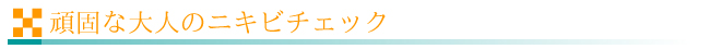 t_otonanonikibi.jpg